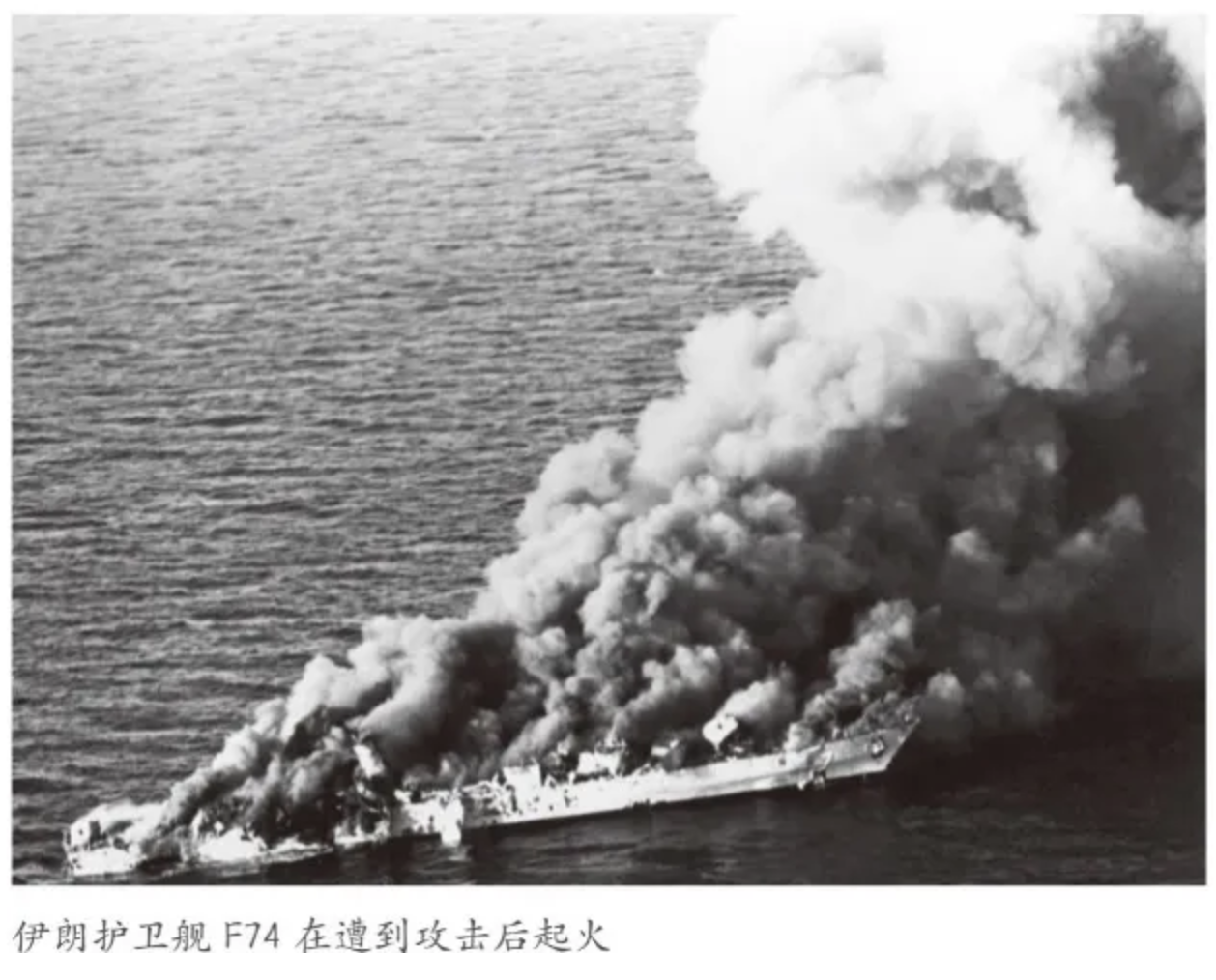 1765416870600748.png image.png